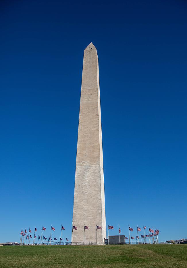 an image of the Washington monument