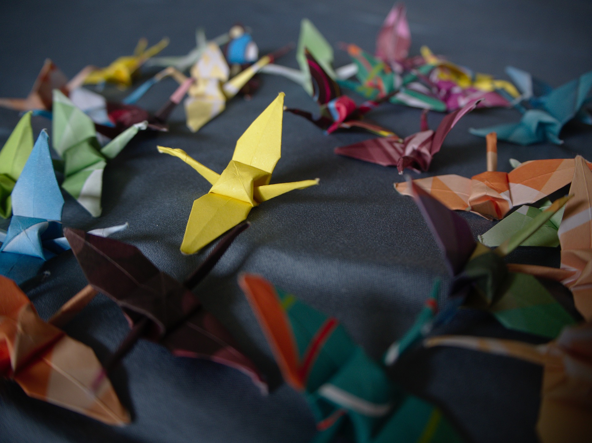 A collection of birds made by folding small pieces of paper.