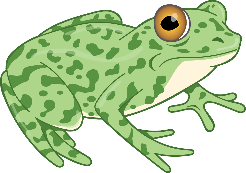 Frog.