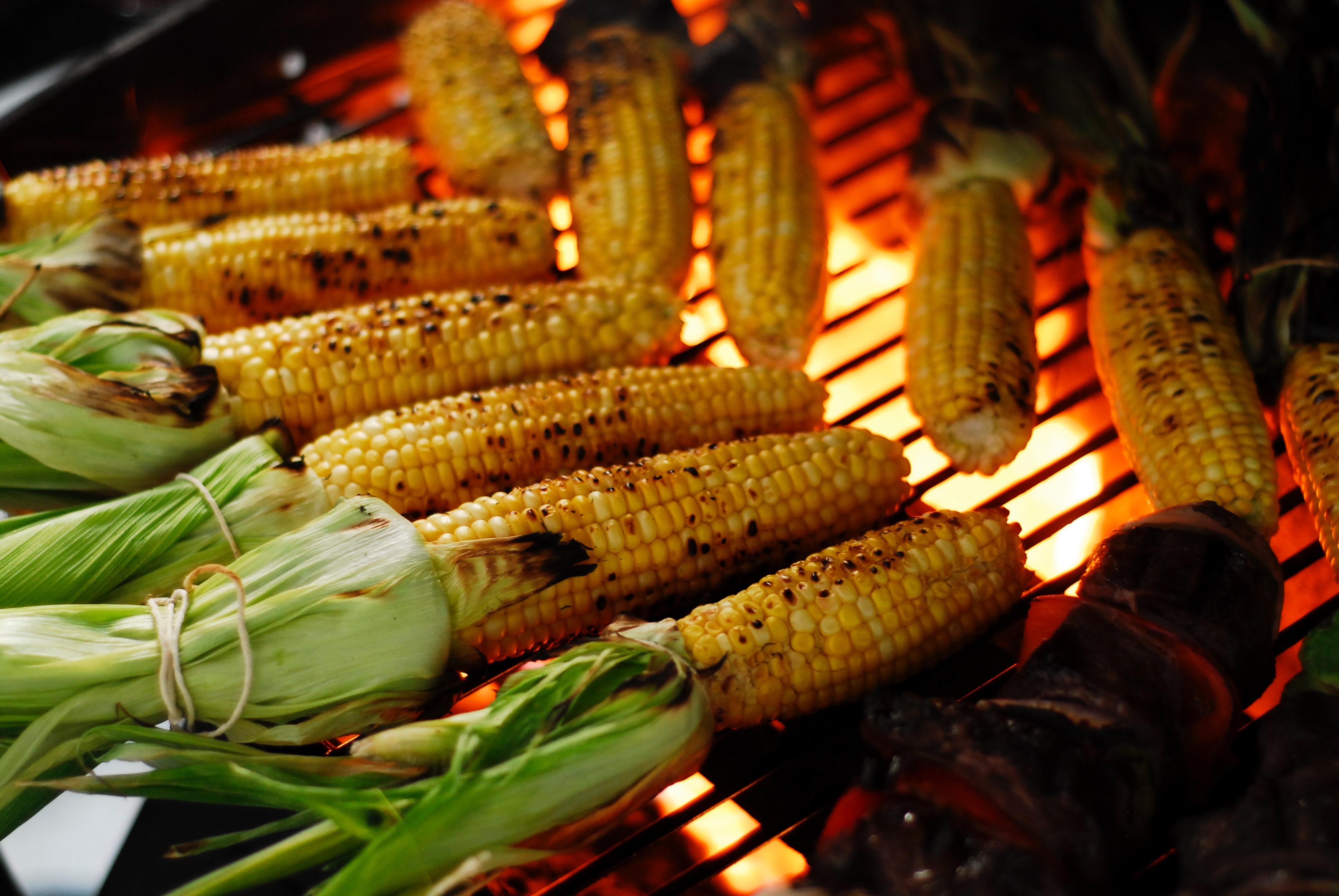 Fotografía de 10 mazorcas de maíz sin hojas que se están asando.