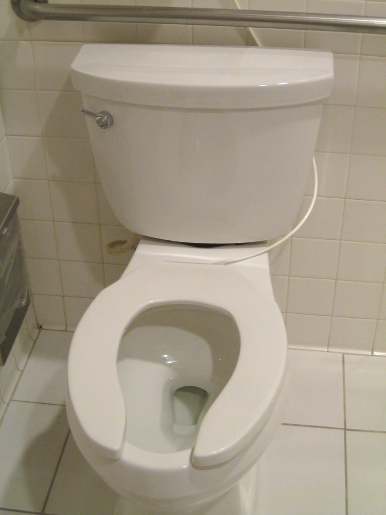 A toilet.