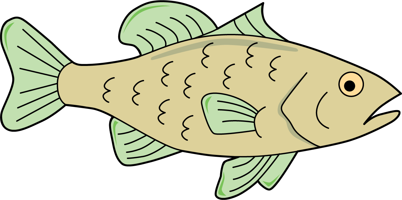 Fish. Largemouth bass.