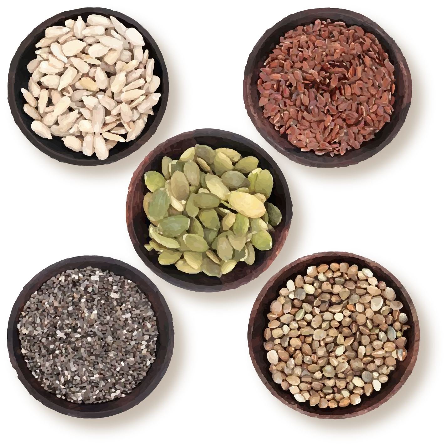 5 bowls of seeds, each a different kind.