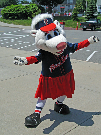 an image of the Pawsox mascot