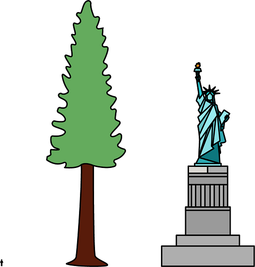 A person, Hyperion, and the Statue of Liberty. Hyperion is taller than the Statue of Liberty and both are taller than the person.