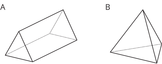 Two prisms are shown. 