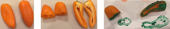 Three images are indicated. The first image is of two whole peppers. In the second image, the first pepper is sliced in half horizontally and the second pepper is sliced in half vertically. The third image is of each cross section created by the slices and the painted imprint of each cross section.